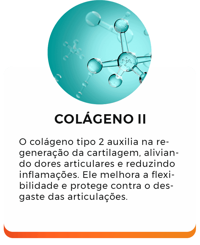 Colágeno II