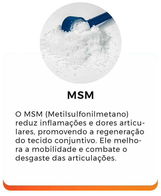 MSM
