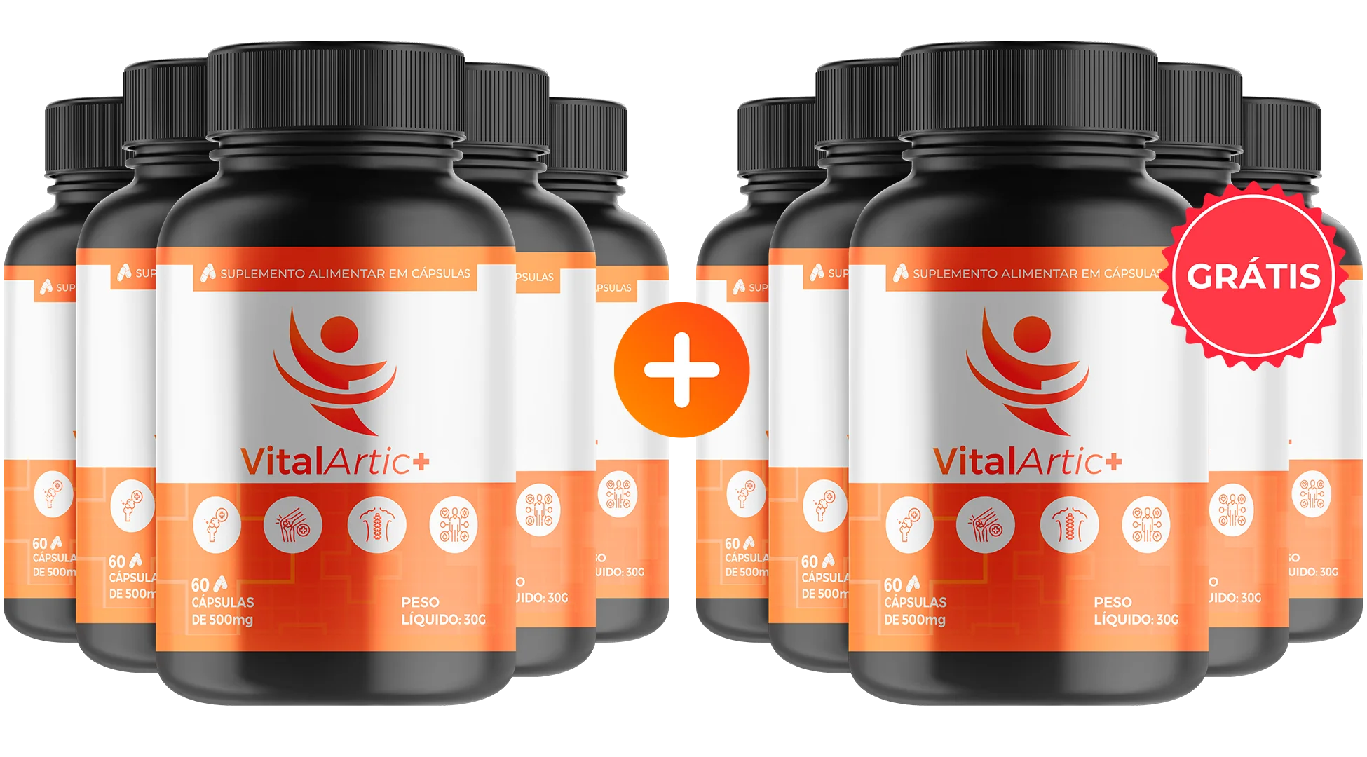 VitalArtic+ 10 frascos